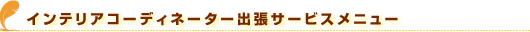 �C���e���A�R�[�f�B�l�[�^�[�o���T�[�r�X���j���[